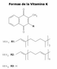 Formas de Vitamina K